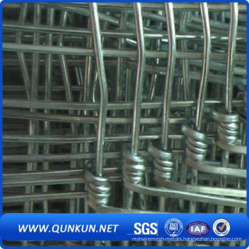 Hot Dipped Galvanized Farm Field Fence/Grassland Fence/Cattle Fence